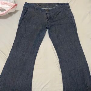 William Rast trouser flare